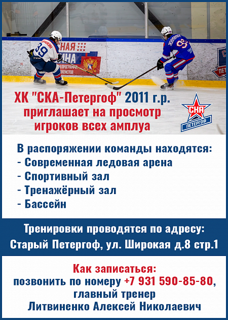 Набор на хоккей 2011